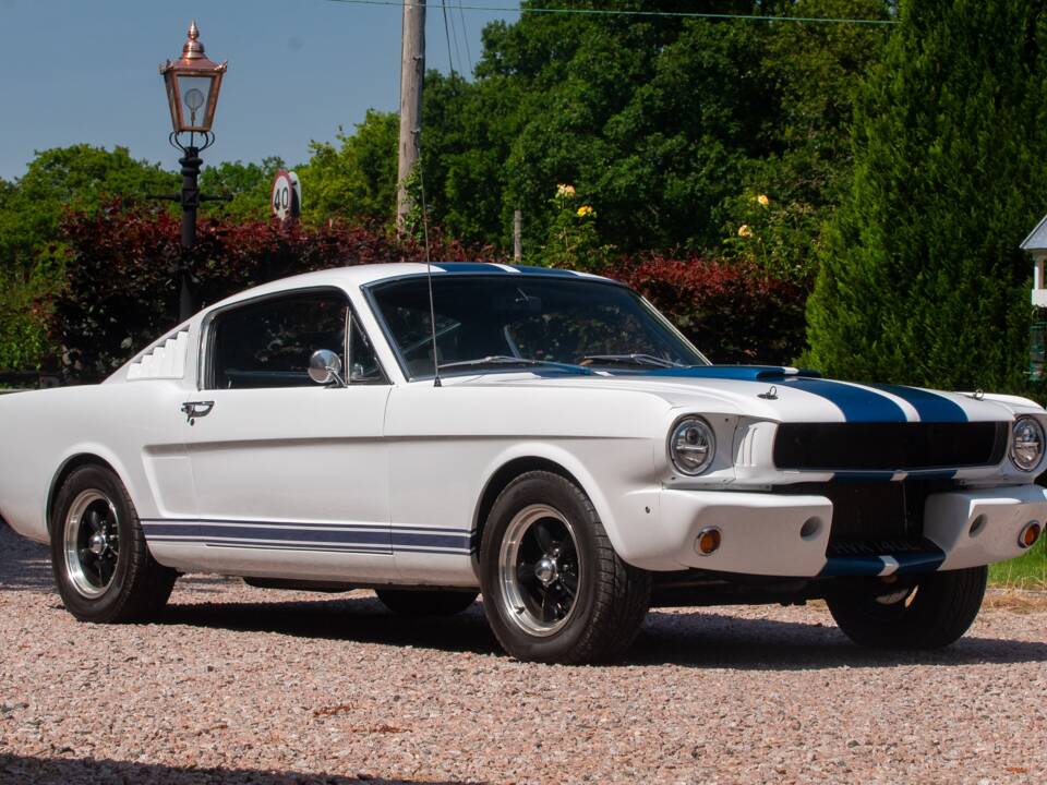 Bild 1/50 von Ford Shelby GT 350 (1965)
