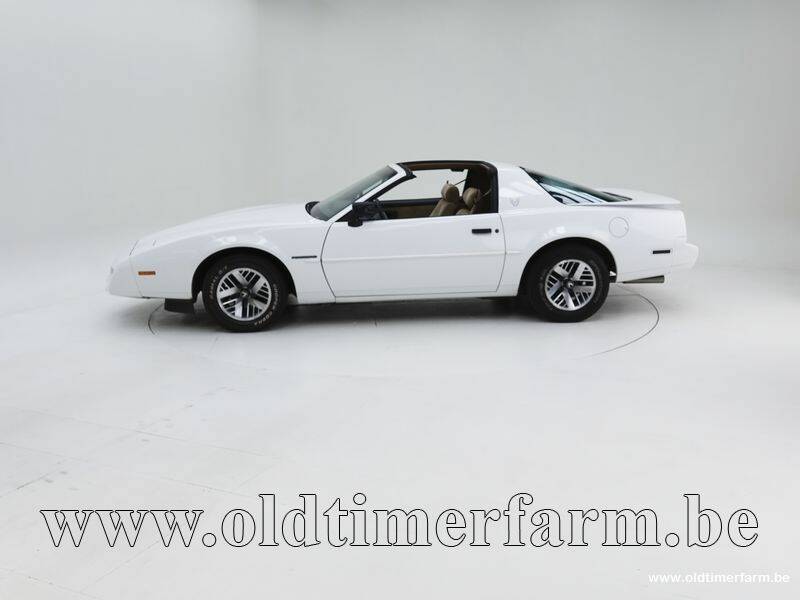 Bild 7/15 von Pontiac Firebird TransAm (1990)