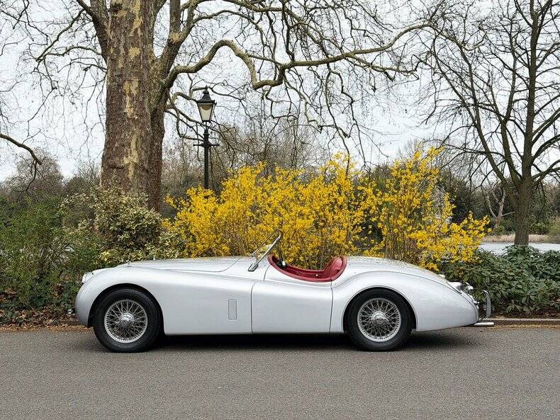Image 5/50 of Jaguar XK 120 OTS (1953)
