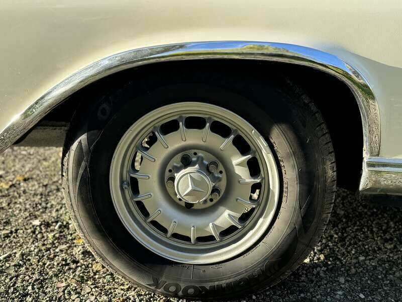 Image 41/50 of Mercedes-Benz 220 SE b (1963)