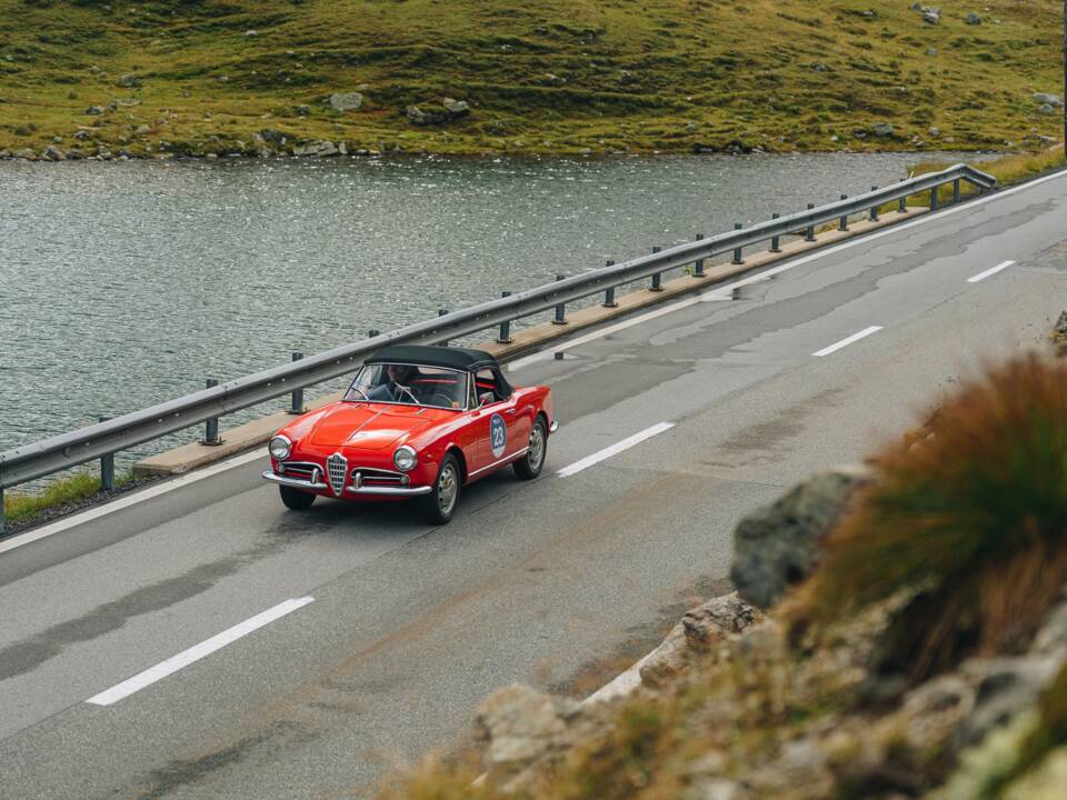 Bild 4/15 von Alfa Romeo Giulietta Spider Veloce (1961)