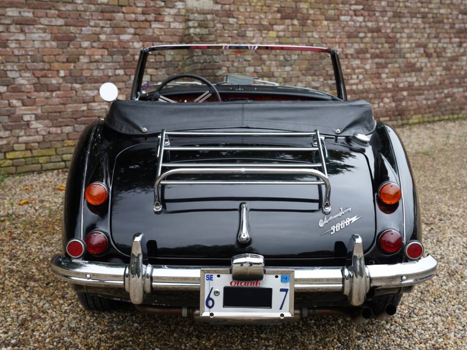 Immagine 6/7 di Austin-Healey 3000 Mk III (BJ8) (1967)