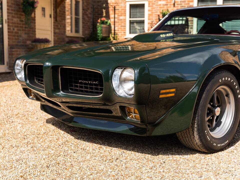 Immagine 19/49 di Pontiac Firebird TransAm (1973)