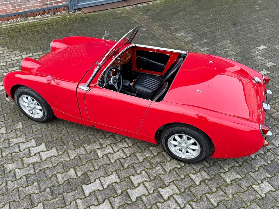 Image 15/40 of Austin-Healey Sprite Mk I (1958)