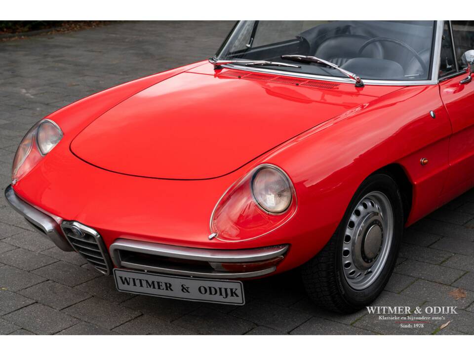 Image 21/29 of Alfa Romeo 1600 Spider Duetto (1967)
