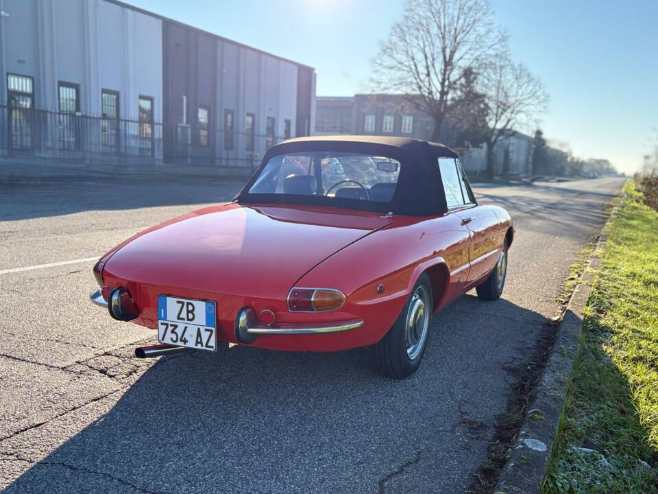 Bild 6/18 von Alfa Romeo 1750 Spider Veloce (1970)