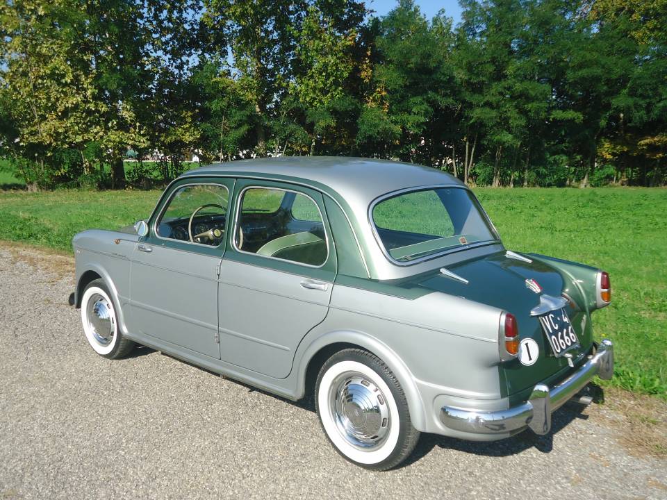 Image 19/50 of FIAT 1100-103 Vignale (1956)