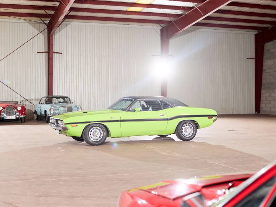 Immagine 11/71 di Dodge Challenger R/T (1970)