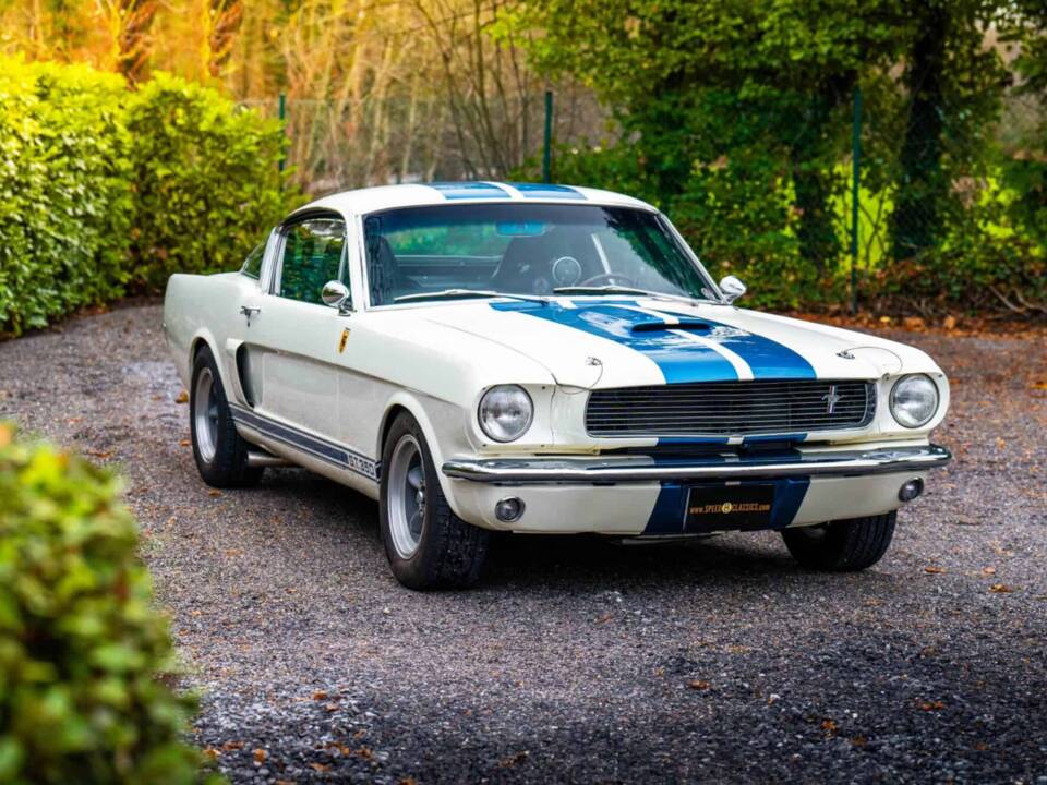 Image 4/27 of Ford Shelby GT 350 (1966)