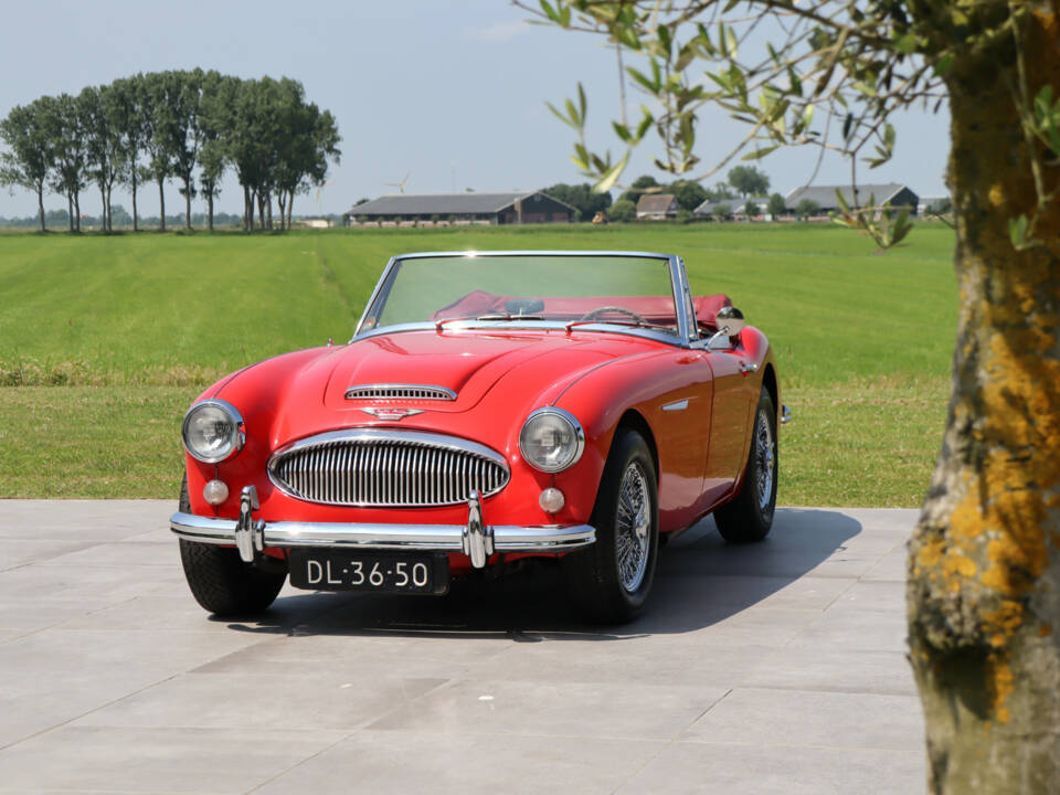 Image 12/50 of Austin-Healey 3000 Mk III (BJ8) (1964)