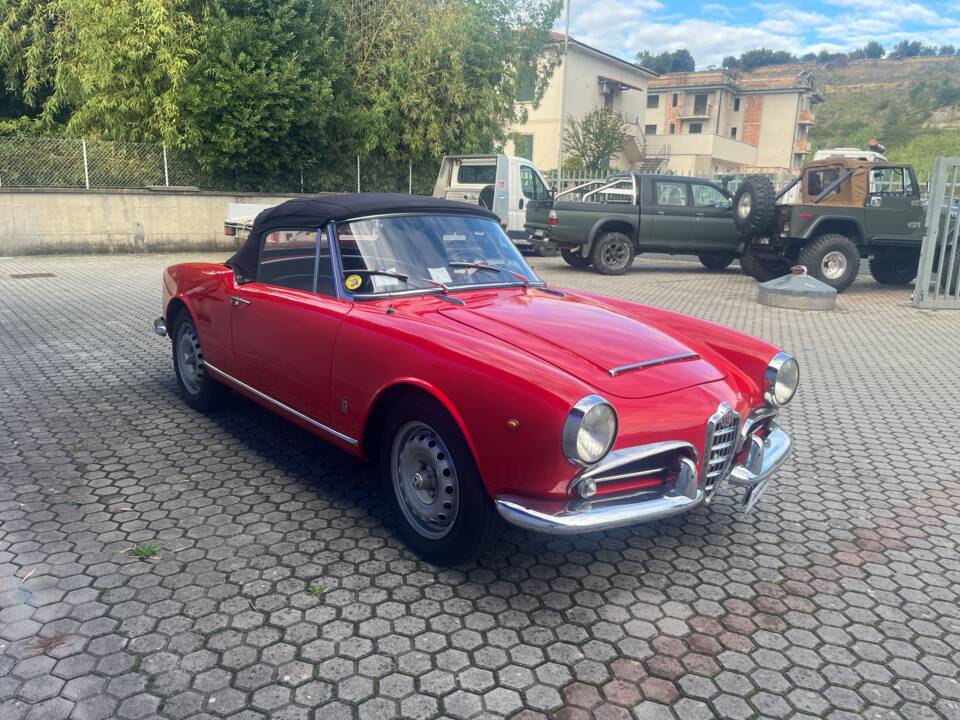 Bild 4/33 von Alfa Romeo Giulia 1600 Spider (1963)