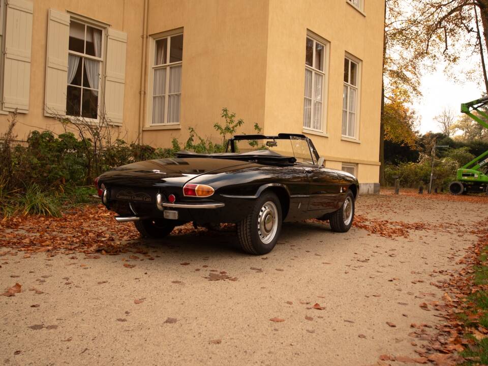 Image 43/51 of Alfa Romeo 1600 Spider Duetto (1966)