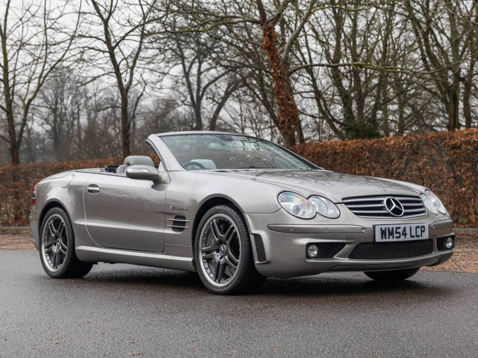 Bild 1/25 von Mercedes-Benz SL 65 AMG (2004)