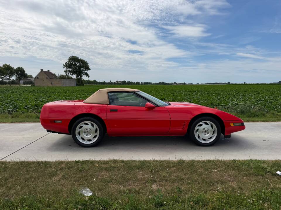 Imagen 9/43 de Chevrolet Corvette Convertible (1995)