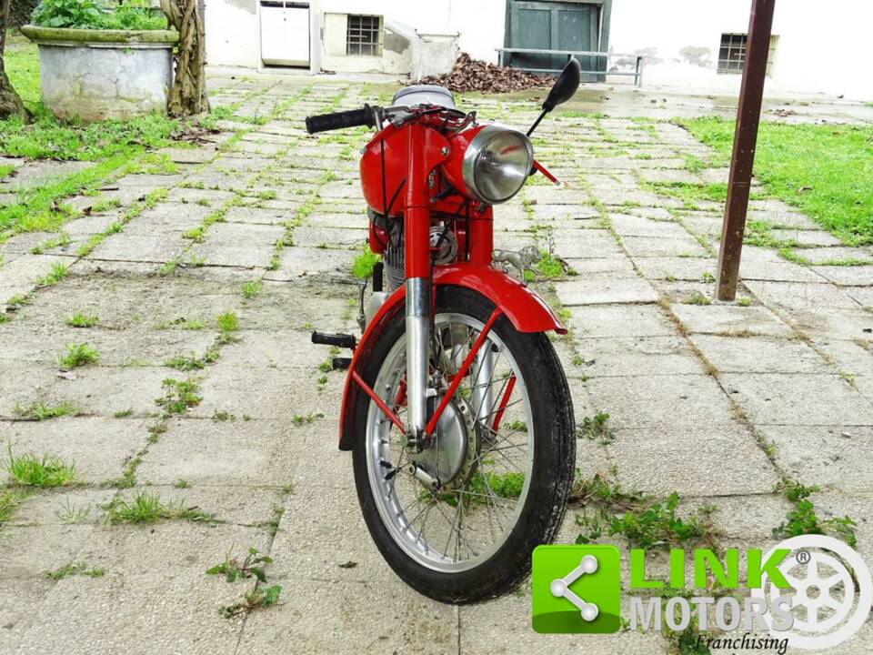 Afbeelding 5/10 van Benelli DUMMY (1962)