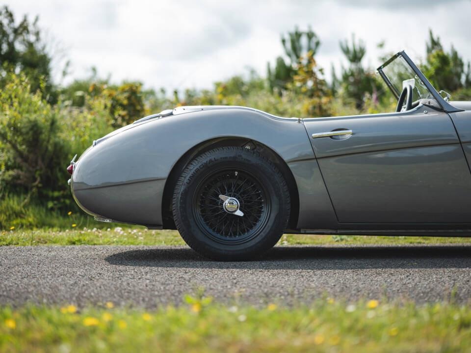 Immagine 36/50 di Austin-Healey 3000 Mk I (BT7) (1959)