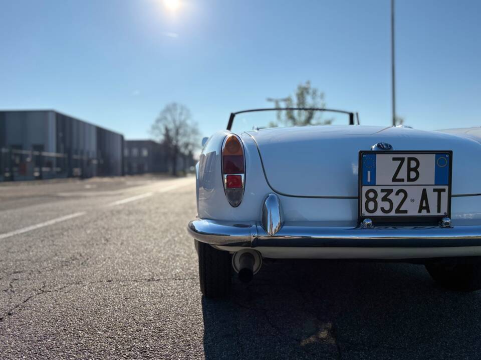 Bild 17/28 von Alfa Romeo Giulietta Spider (1961)