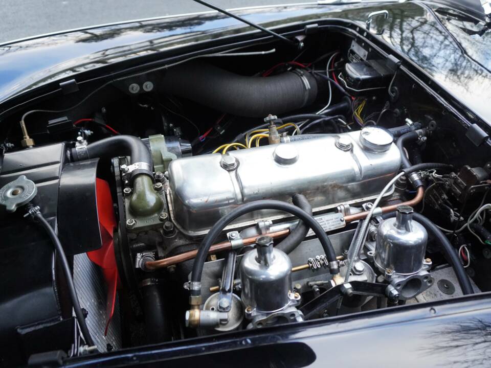 Image 16/18 de Austin-Healey 100/6 (BN4) (1956)