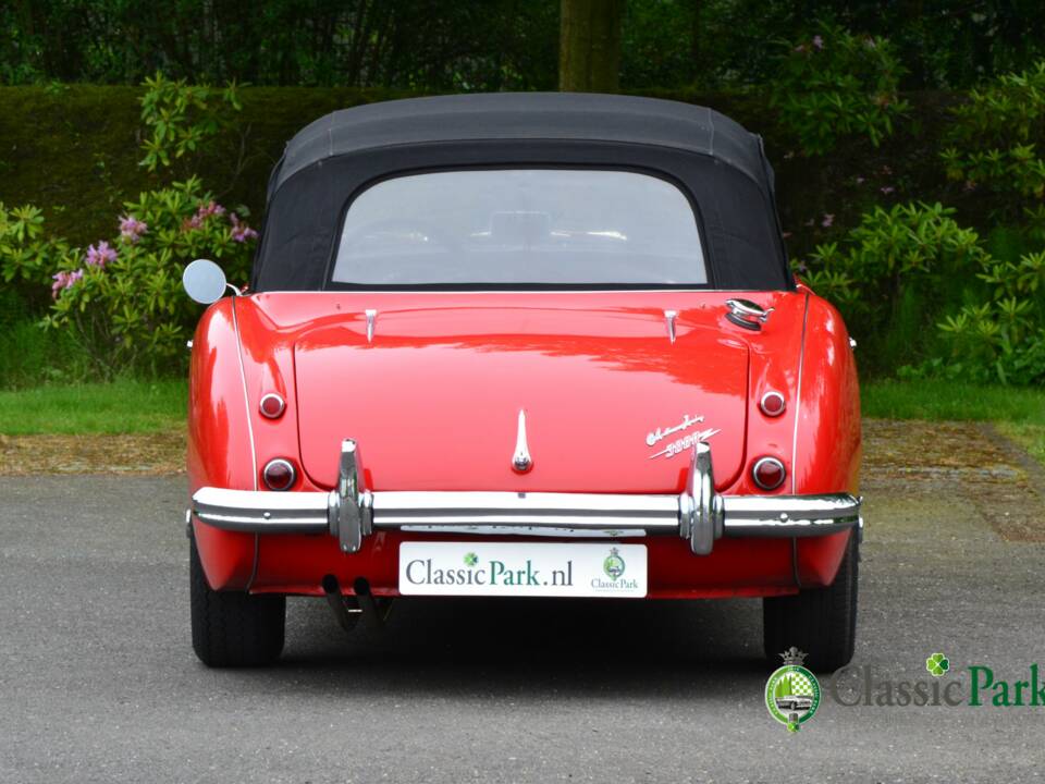Image 17/50 of Austin-Healey 3000 Mk II (BJ7) (1962)
