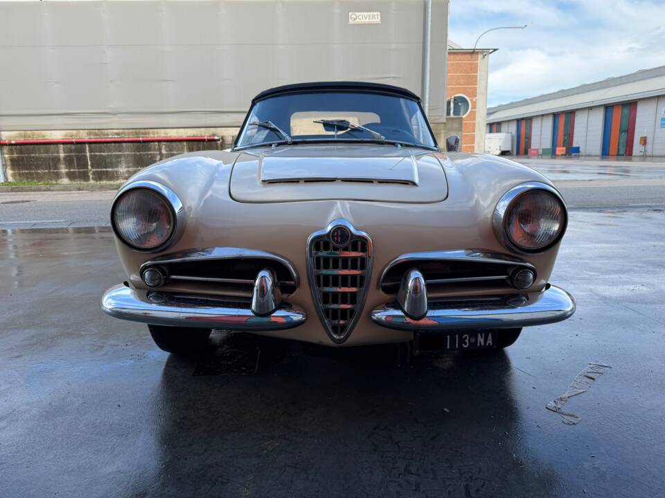 Bild 6/16 von Alfa Romeo Giulia 1600 Spider (1962)