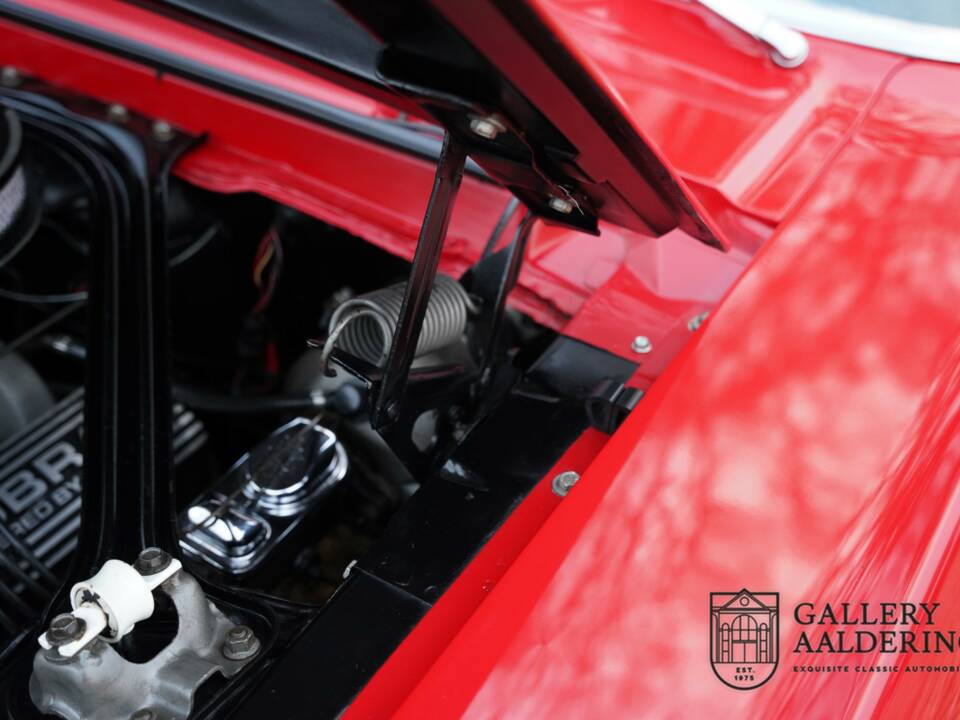 Bild 43/50 von Ford Shelby GT 350 (1968)