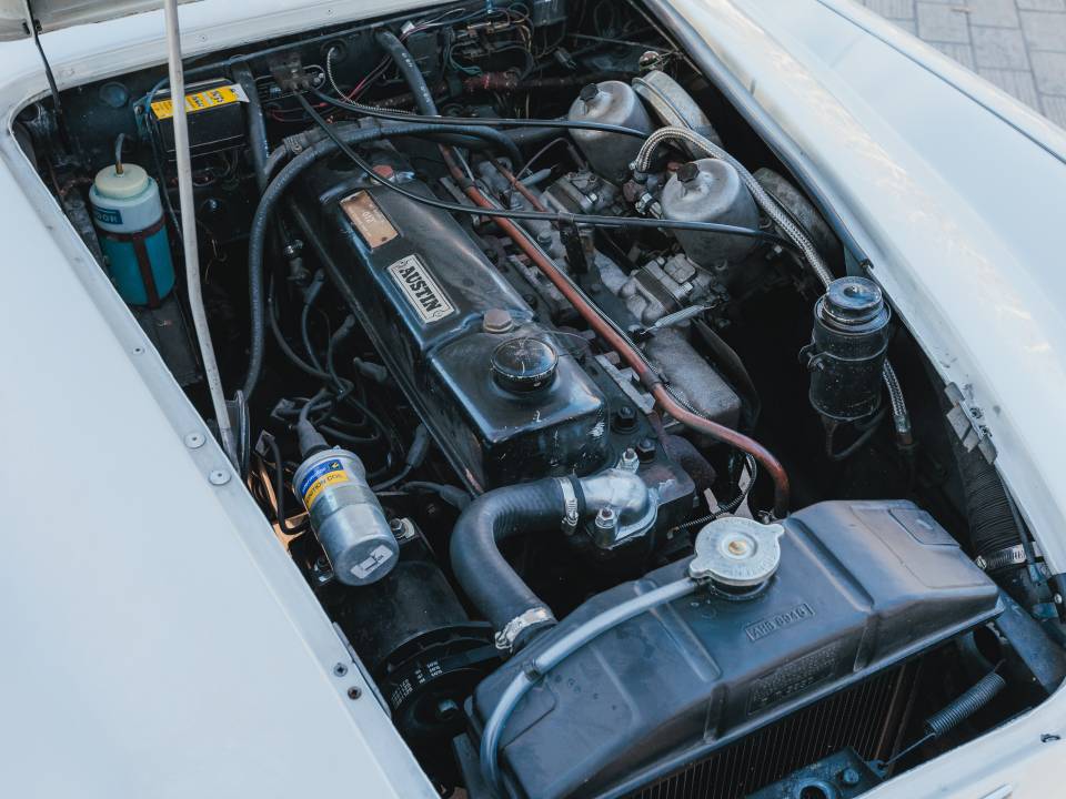 Bild 4/44 von Austin-Healey 3000 Mk III (BJ8) (1966)