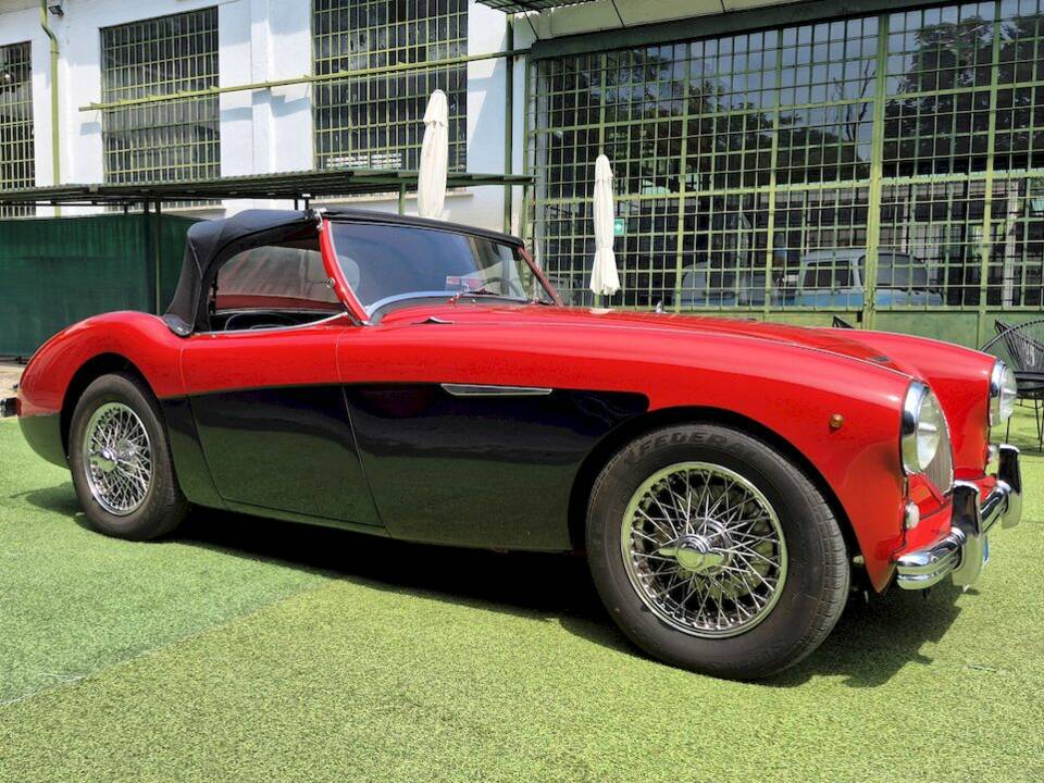 Bild 56/62 von Austin-Healey 100&#x2F;4 (BN1) (1954)