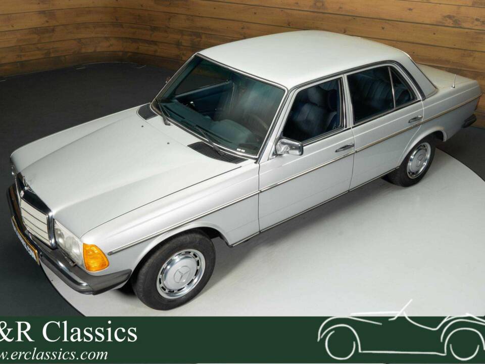 Imagen 1/19 de Mercedes-Benz 250 (1978)