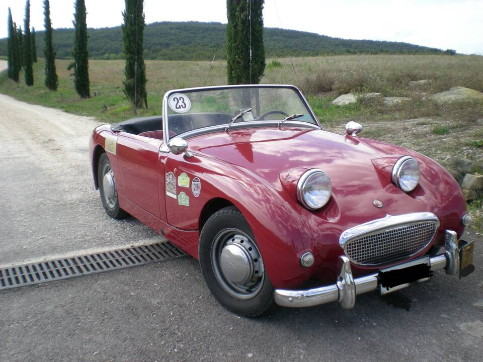 Bild 3/10 von Austin-Healey Sprite Mk I (1959)