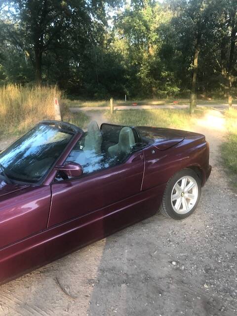 Imagen 10/19 de BMW Z1 Roadster (1991)