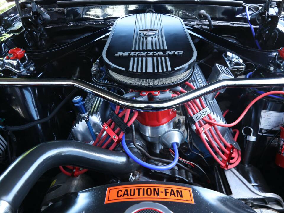 Image 26/50 of Ford Mustang 302 (1969)