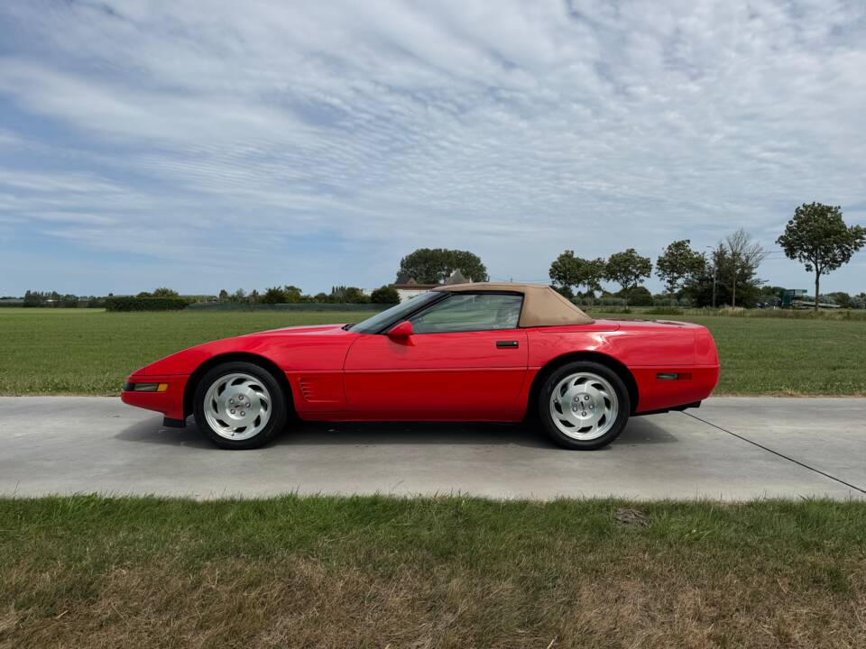 Imagen 5/43 de Chevrolet Corvette Convertible (1995)
