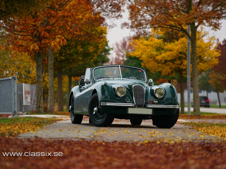 Afbeelding 23/23 van Jaguar XK 120 DHC (1954)