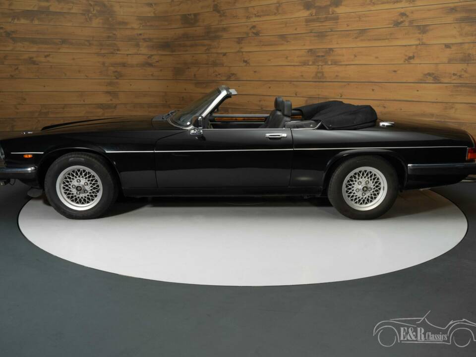 Bild 6/8 von Jaguar XJ-S H.E. (1990)