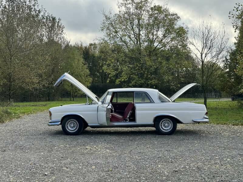 Image 24/50 of Mercedes-Benz 220 SE b (1963)