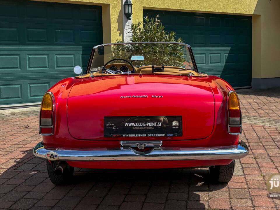 Bild 7/14 von Alfa Romeo 2600 Spider (1963)