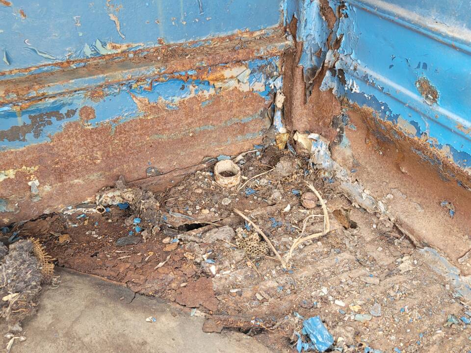 Bild 37/50 von Volkswagen T1 Kombi (1957)