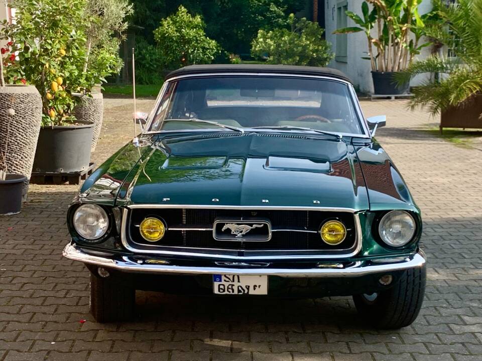Immagine 12/16 di Ford Mustang 302 (1967)
