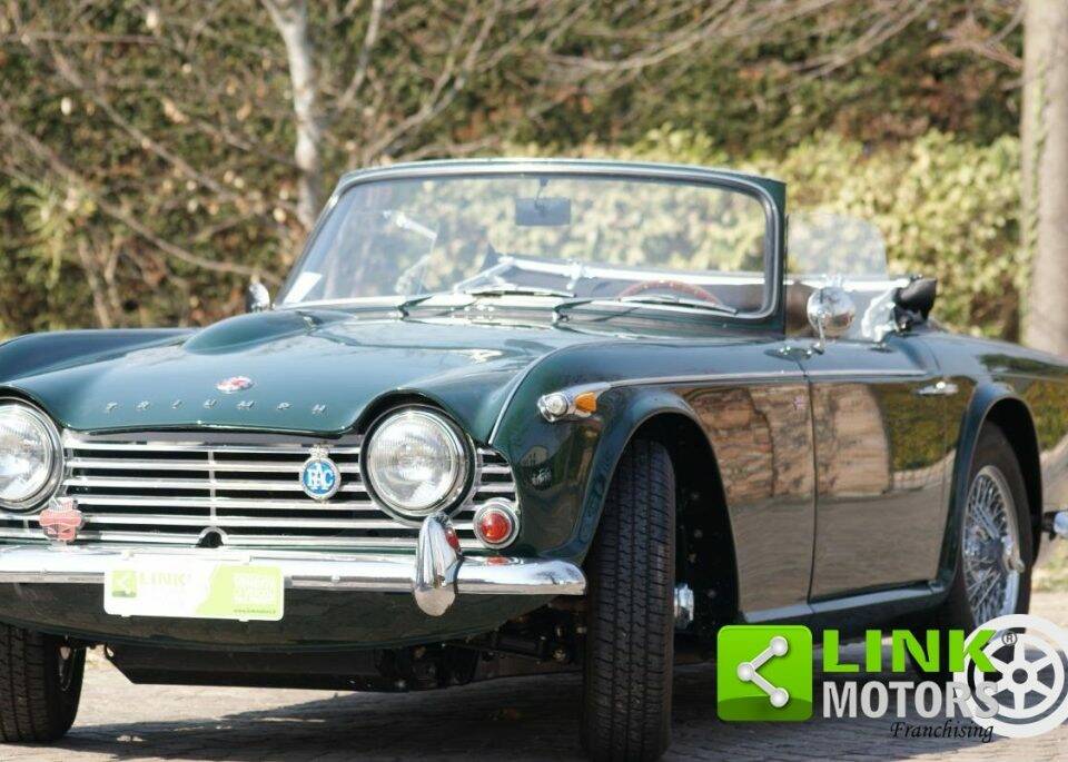 Immagine 4/10 di Triumph TR 4 (1965)