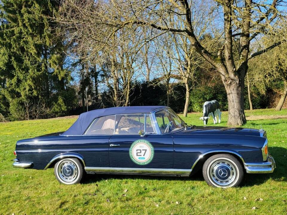 Imagen 5/8 de Mercedes-Benz 250 SE (1965)