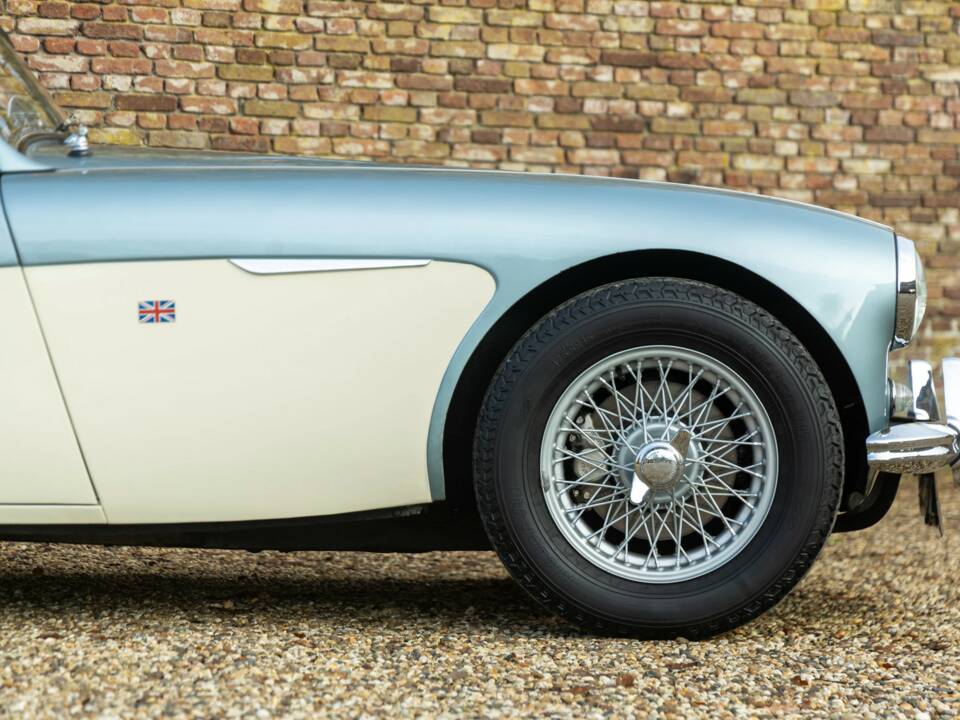 Bild 36/50 von Austin-Healey 3000 Mk I (BN7) (1960)