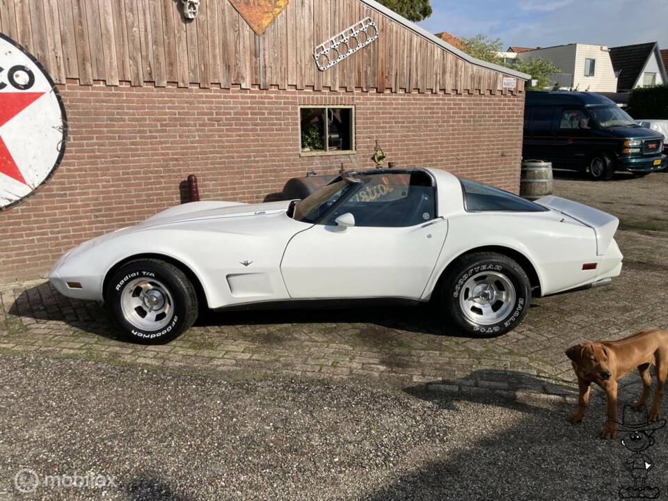 Afbeelding 7/50 van Chevrolet Corvette Sting Ray (1979)