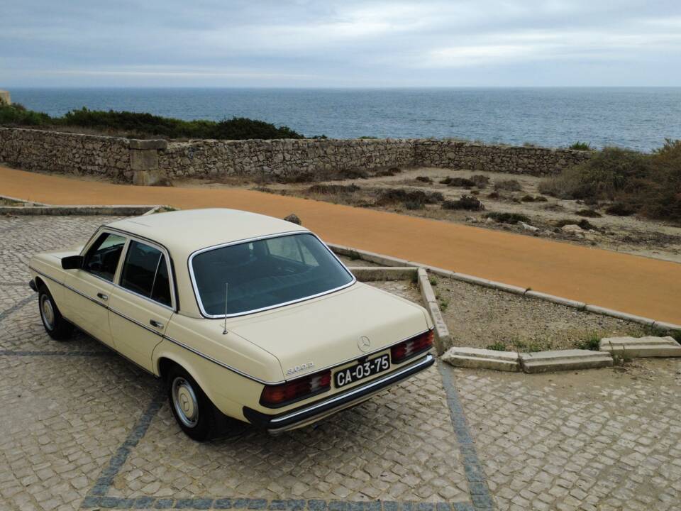 Bild 18/73 von Mercedes-Benz 300 D (1977)