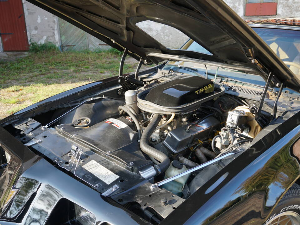 Image 58/69 of Pontiac Firebird TransAm (1979)