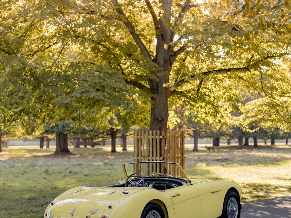 Bild 13/50 von Austin-Healey 3000 Mk I (BT7) (1960)