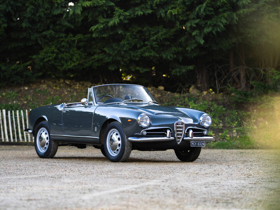 Bild 9/38 von Alfa Romeo Giulia 1600 Spider (1963)