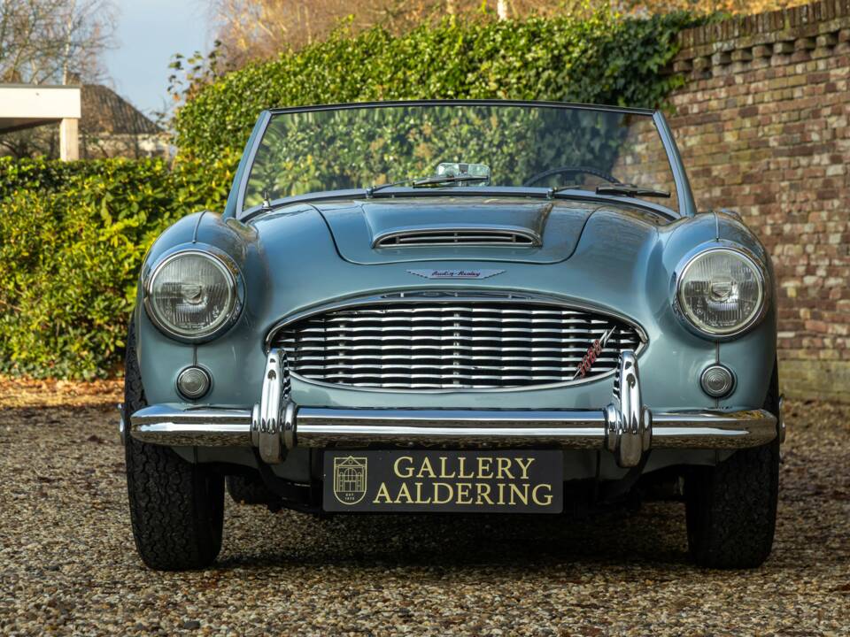 Bild 30/50 von Austin-Healey 3000 Mk I (BN7) (1960)