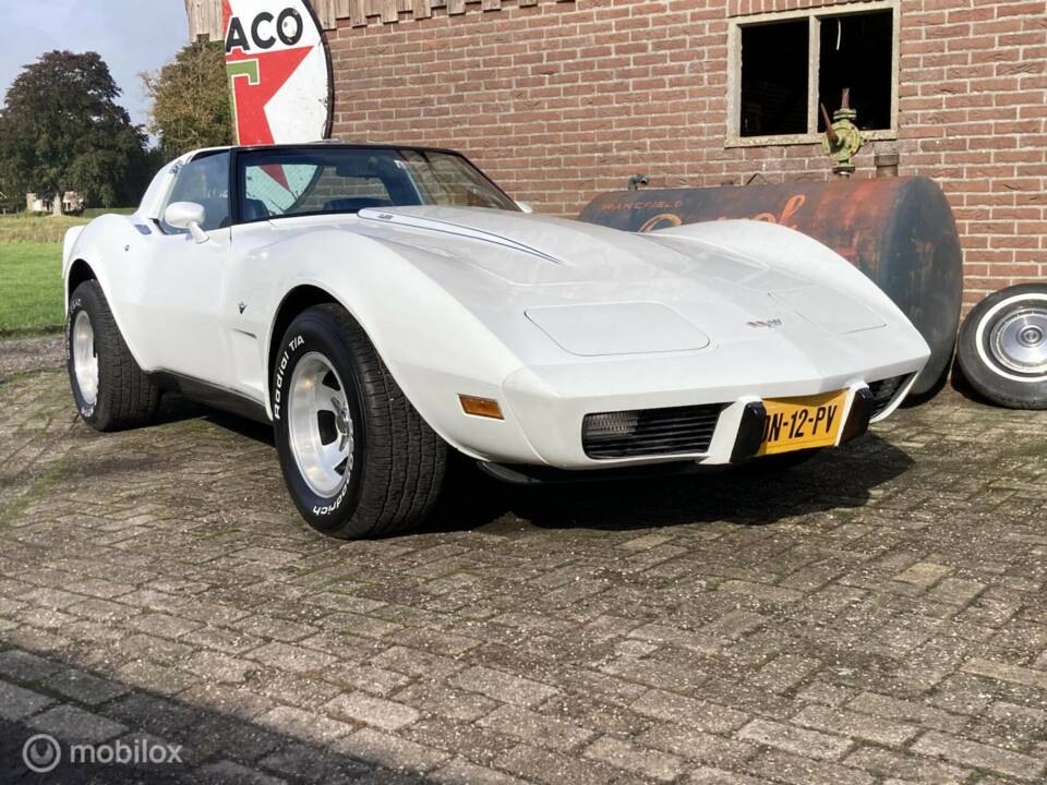 Afbeelding 30/50 van Chevrolet Corvette Sting Ray (1979)