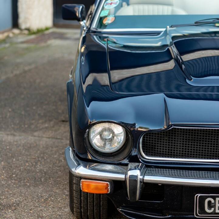 Bild 8/50 von Aston Martin V8 Volante (1979)