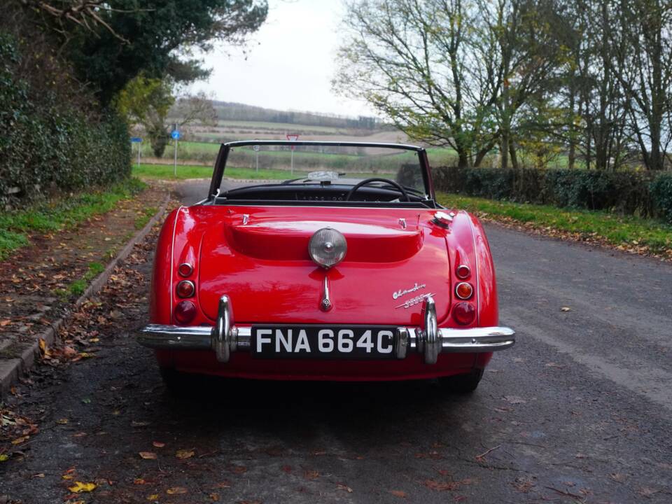 Immagine 5/18 di Austin-Healey 3000 Mk III (BJ8) (1964)